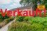 Hauptbild Naturnah wohnen: Gepflegte Doppelhaush�lfte mit Terrasse und Carport!