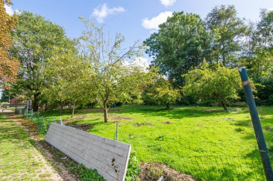 70000 Streuobstwiesen Resthof Marienhafe