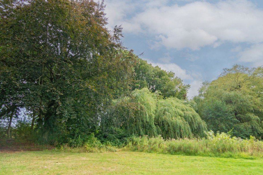 7996 Baumbestand und Teich Land- / Forstwirtschaft Norden