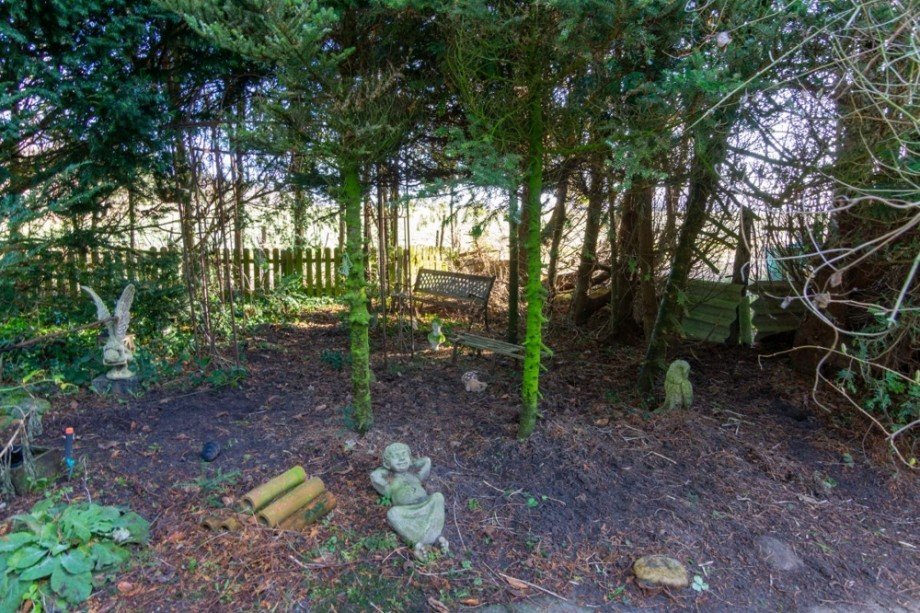 7926 Garten bzw. Grundst�ck Bild II Einfamilienhaus Halbemond