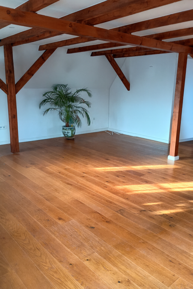 7955 Wohnzimmer Bild II Dachgeschosswohnung Norden